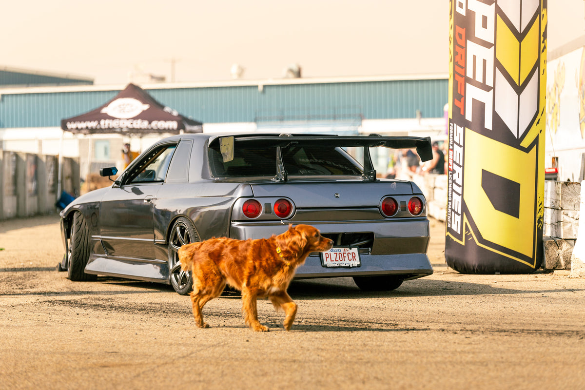 R34 Skyline